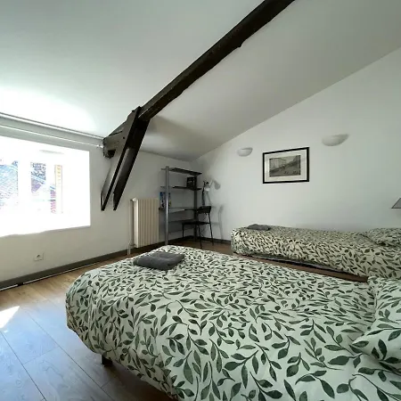 Apartment Hypercentre Maison De Ville, Rue Pietonne Animee